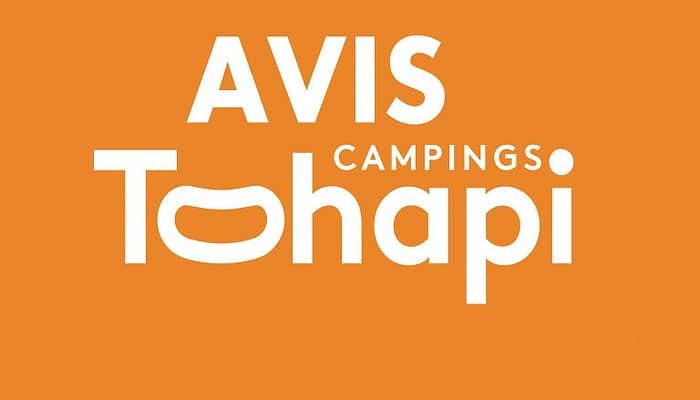 Tohapi : Avis et retours sur notre expérience